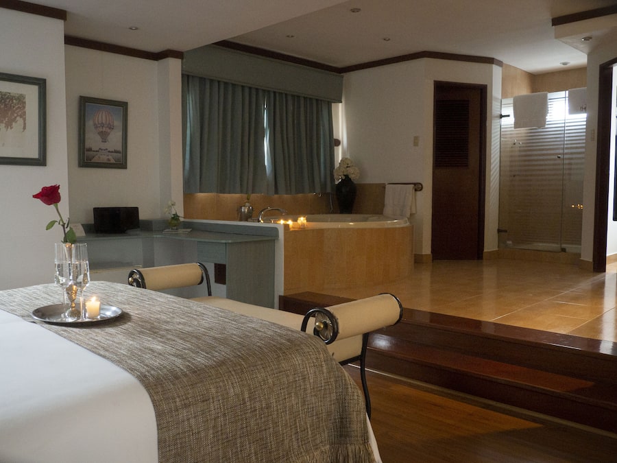 Premium suite, 1 slaapkamer, bubbelbad | Uitzicht vanuit de kamer