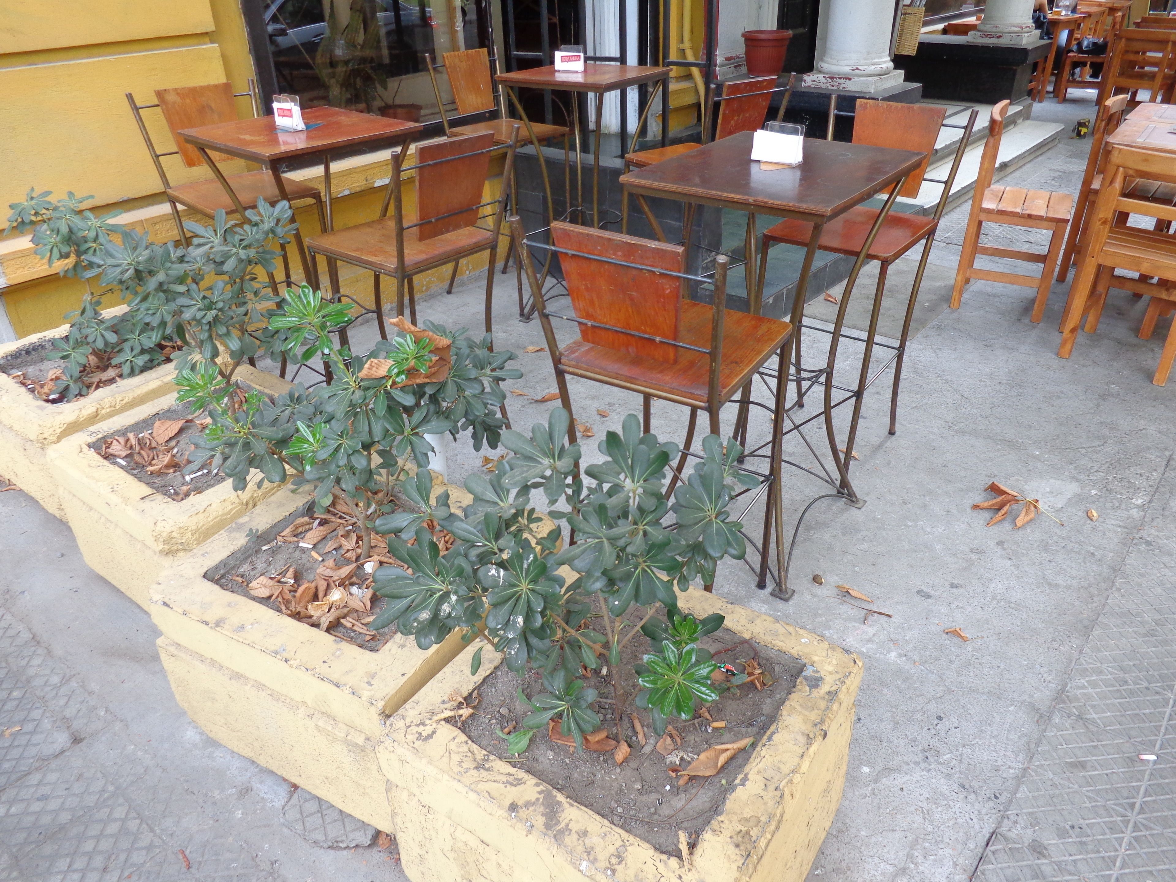 Foto - Hostal Chile Chico