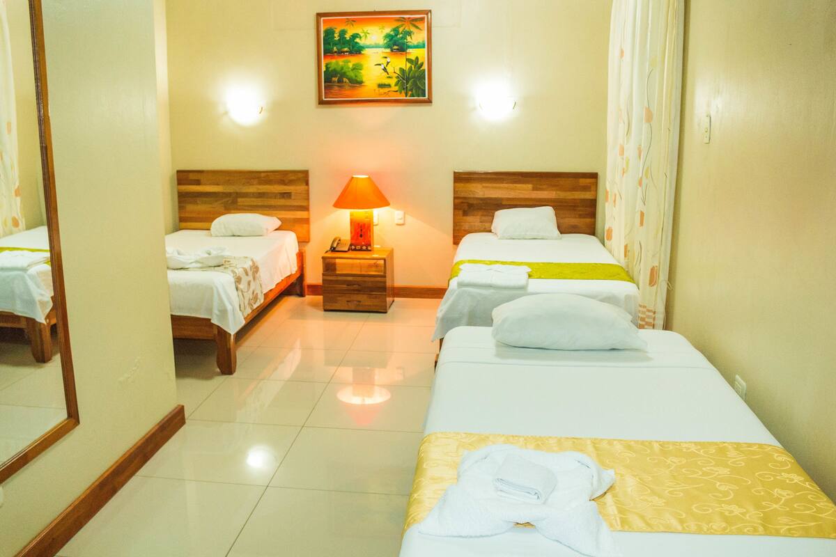 Triple Room | Minibar, desk, rollaway beds (surcharge), WiFi (free)