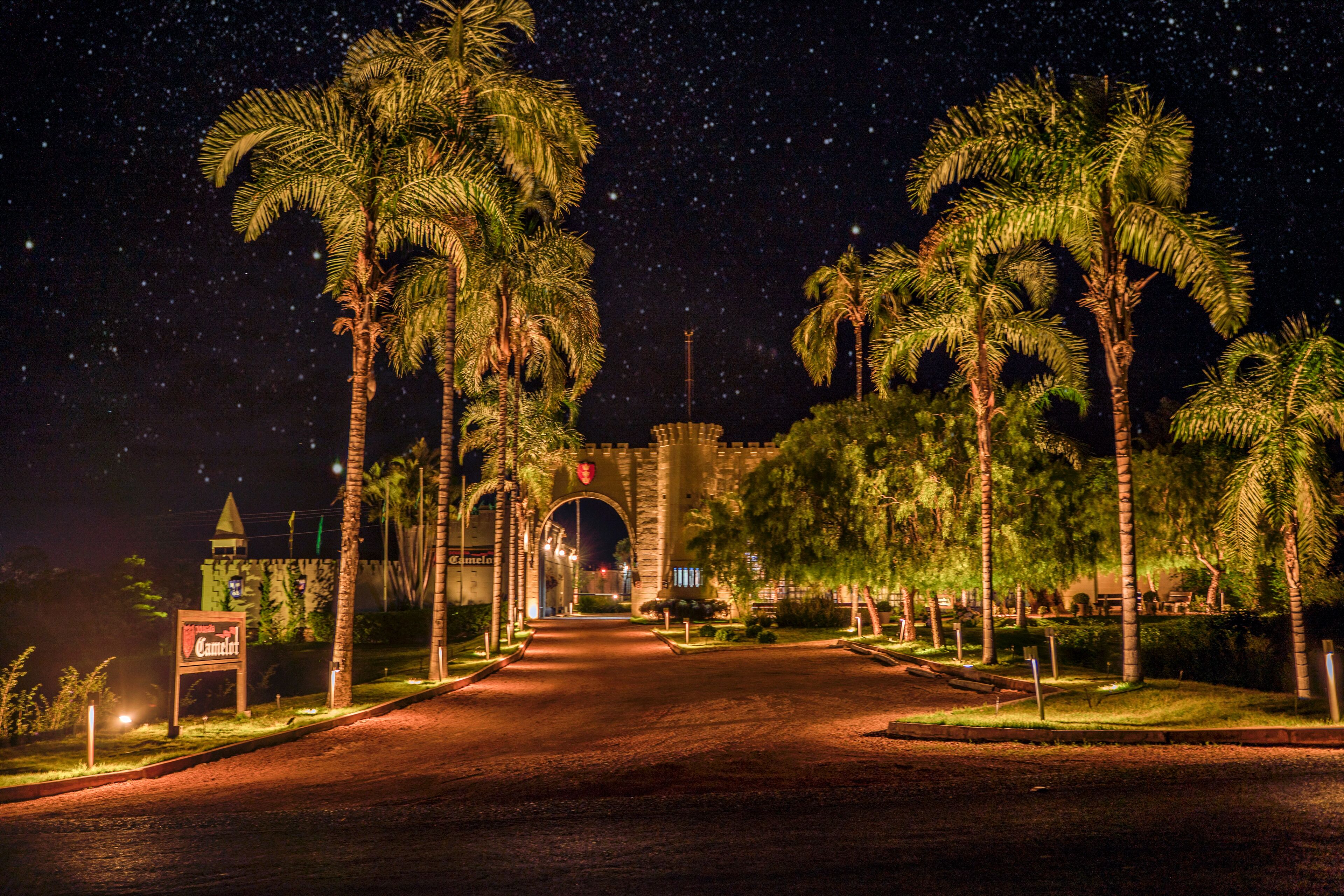 A nighttime view of a street lined with palm trees and a castle-like structure in the background.