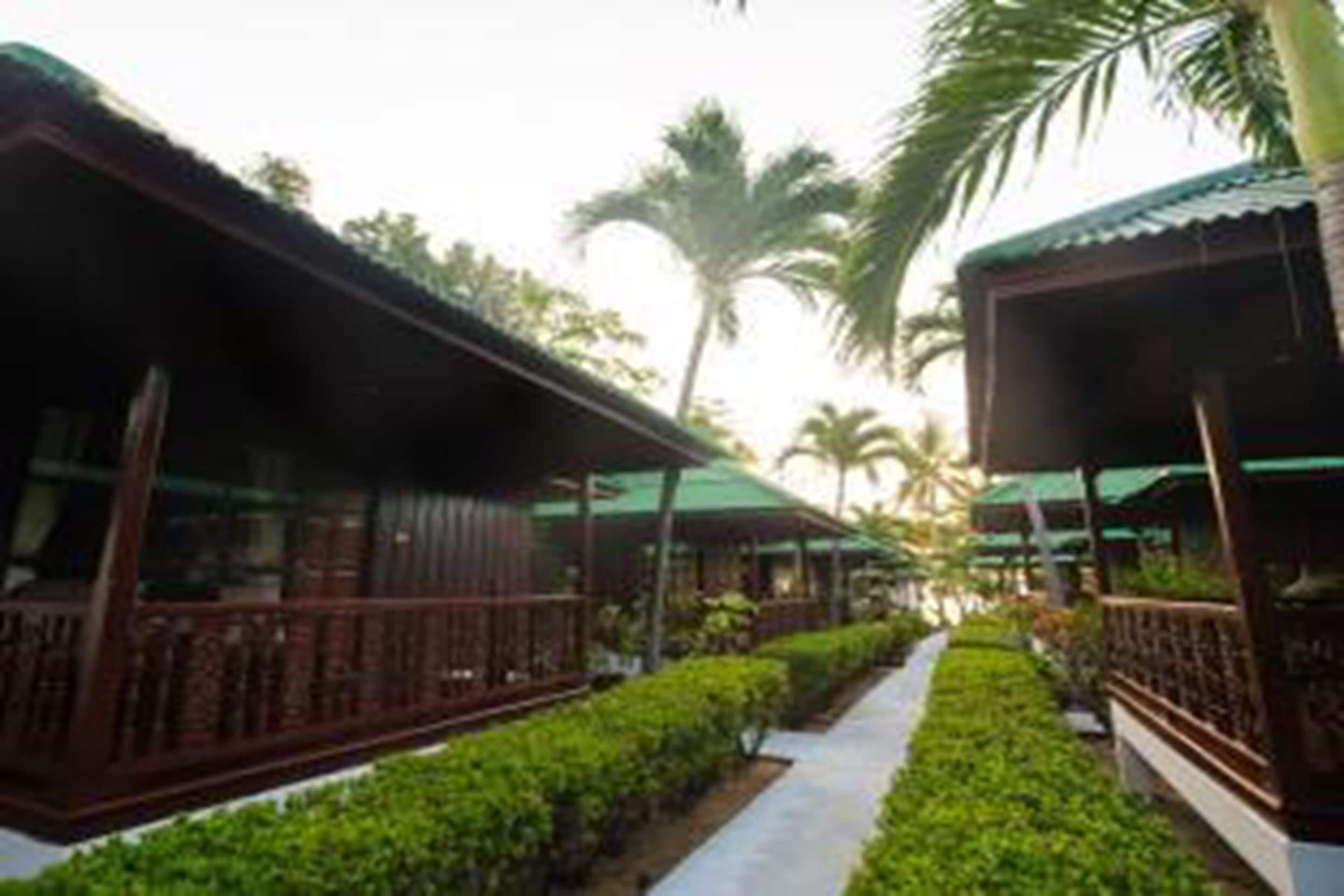 Foto - Lamai Coconut Beach Resort