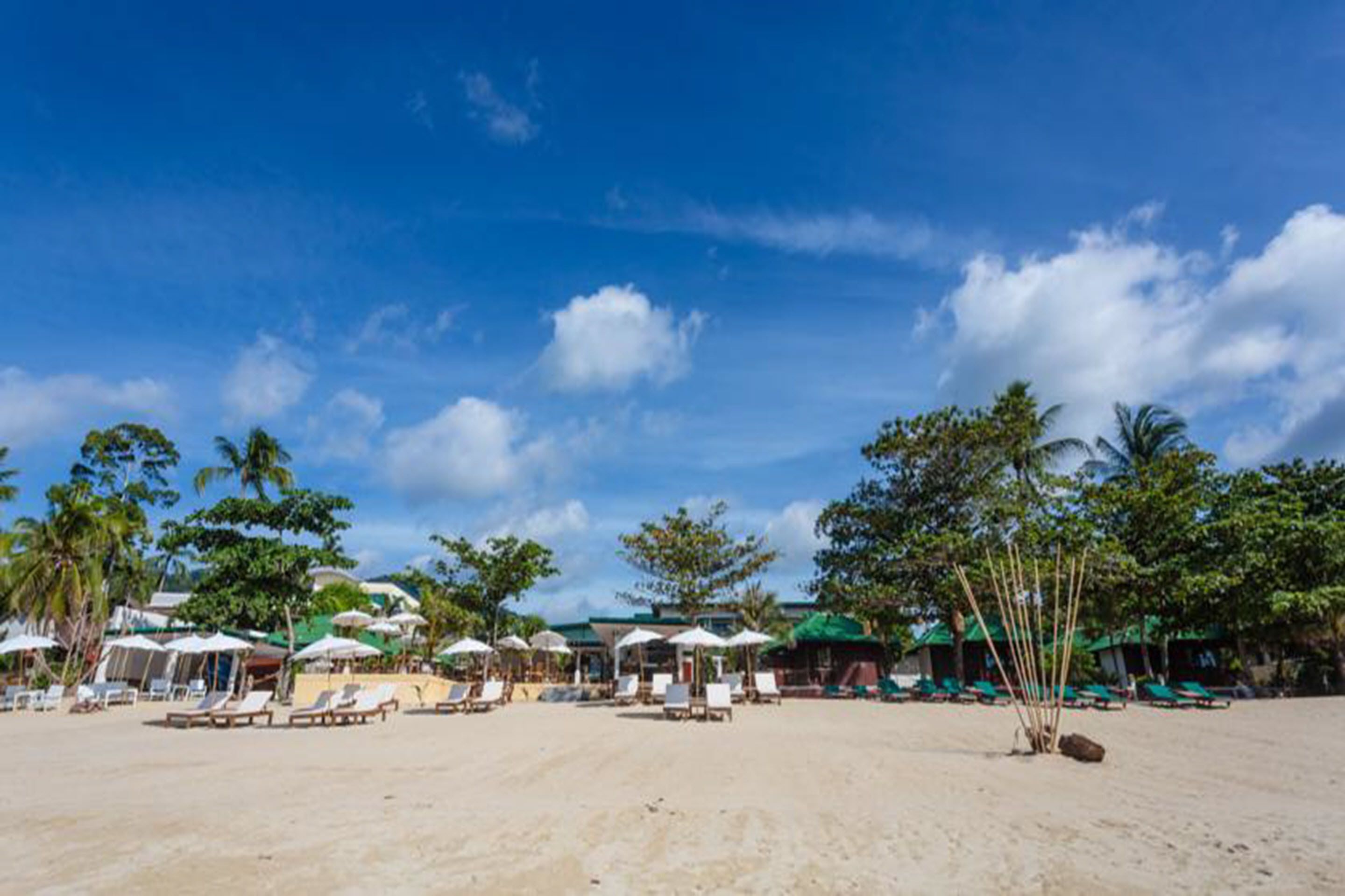 Una playa con filas de tumbonas y sombrillas, rodeada de palmeras y cabañas de playa.