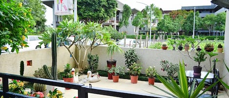 Quang cảnh từ phòng