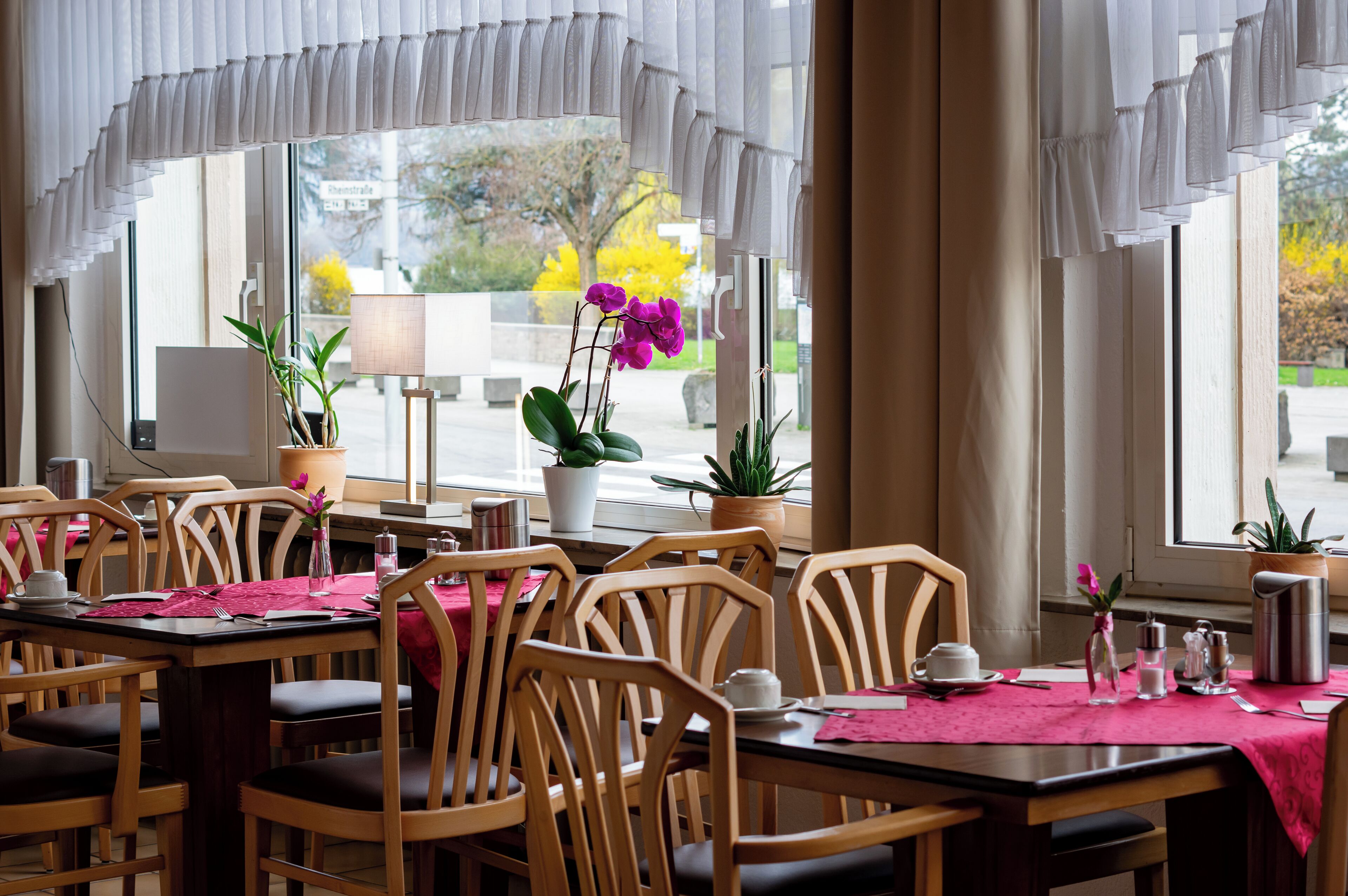 Colazione a buffet, servita tutte le mattine (16.50 EUR a persona) 