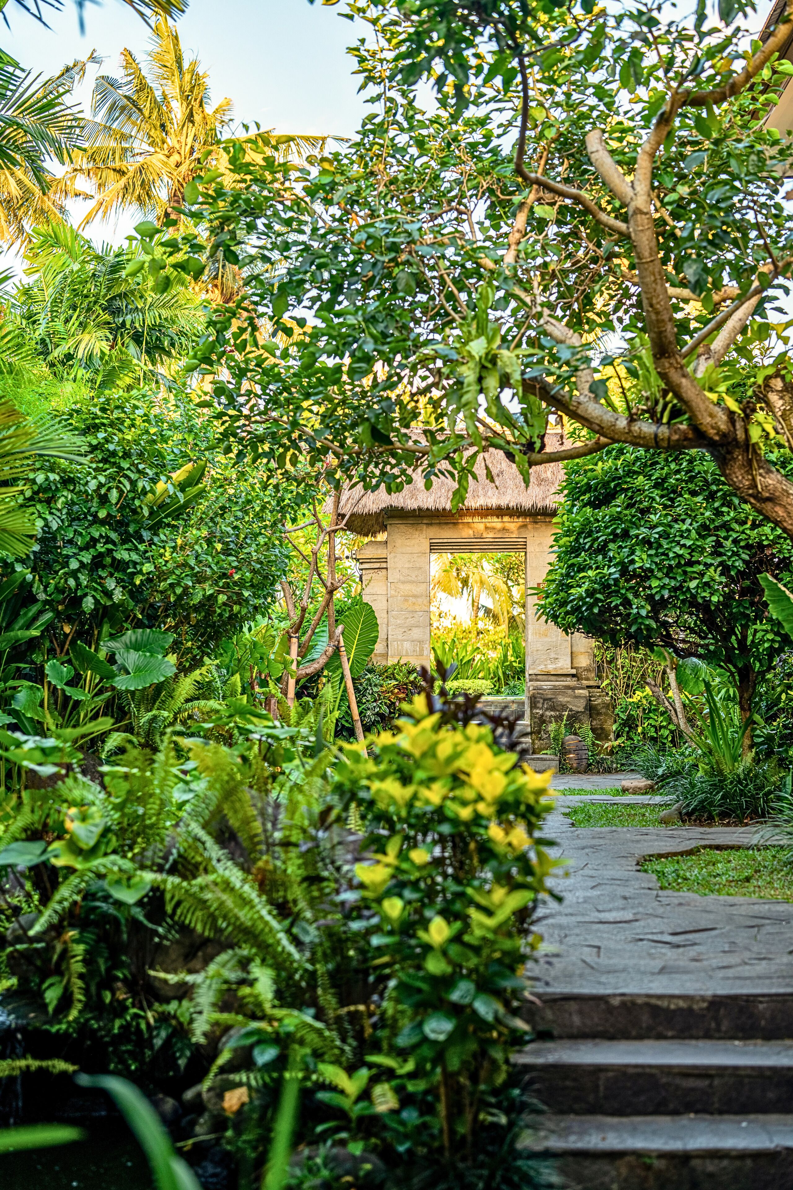 Garden view