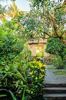 Vista al jardín