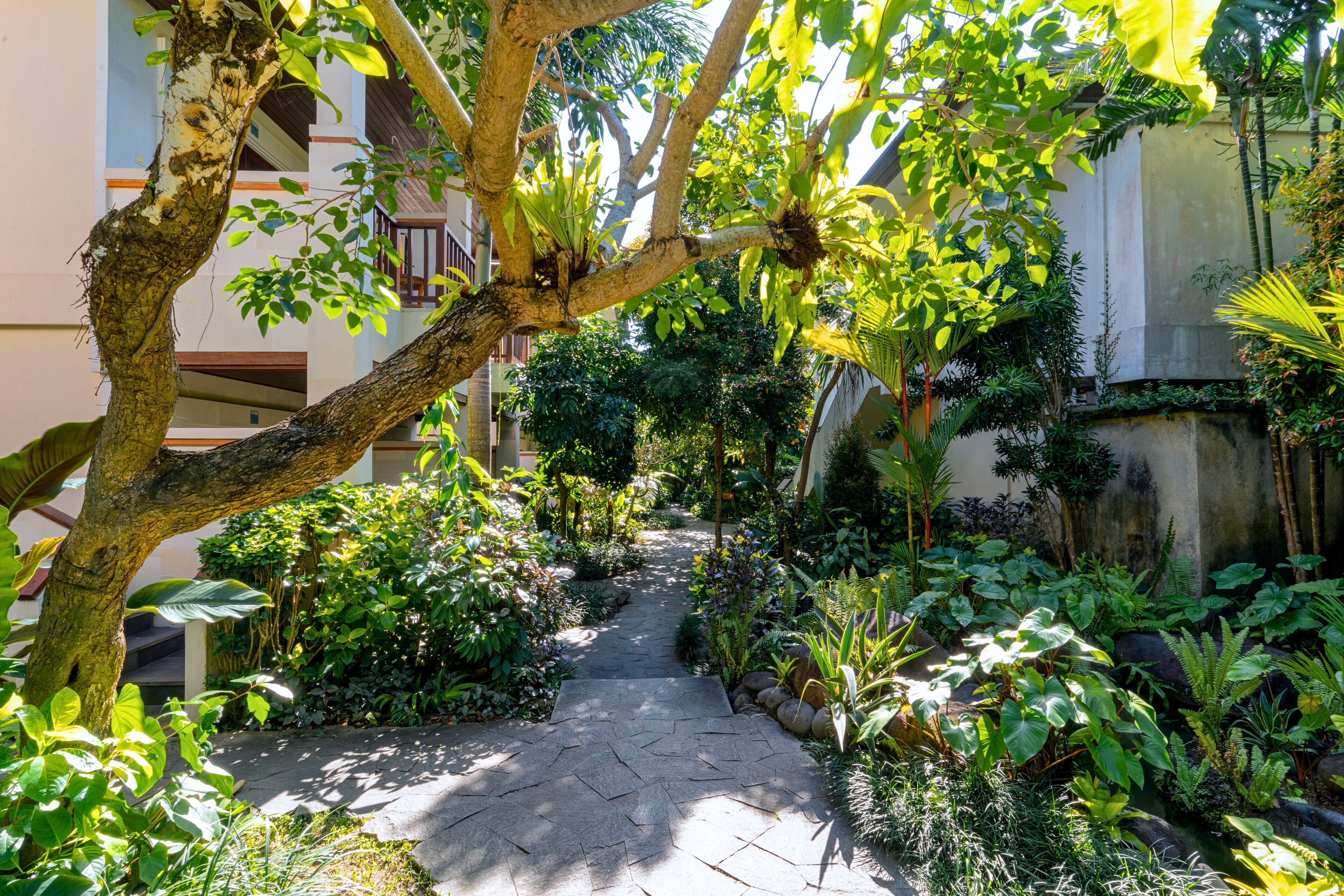Photo - Radha Phala Resort & Spa