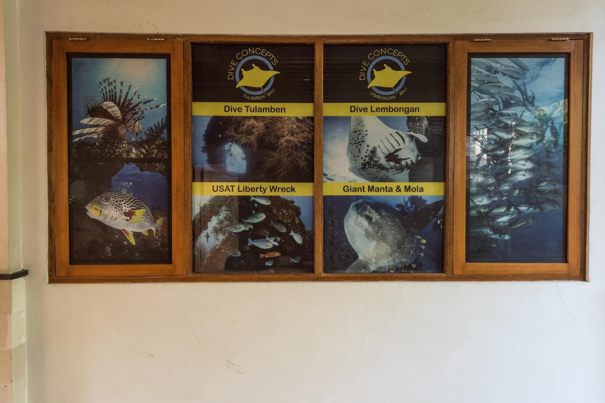 A framed display with four panels, each depicting different underwater scenes and labeled with names like 'Dive Tulamben' and 'Giant Manta & Mola'.