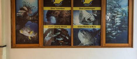 A framed display with four panels, each depicting different underwater scenes and labeled with names like 'Dive Tulamben' and 'Giant Manta & Mola'.