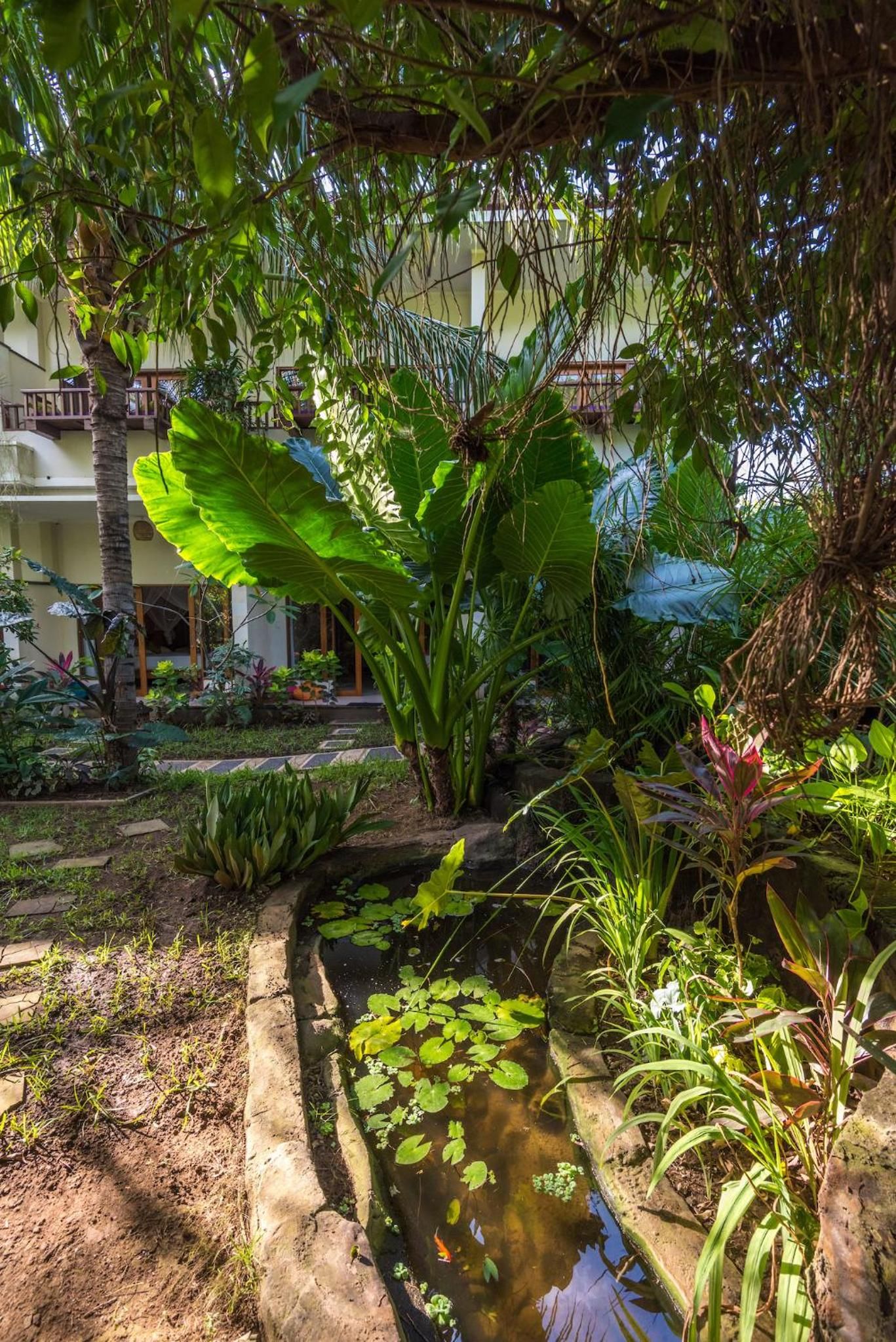 A garden with a pond, various plants, and a building in the background.