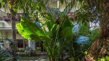 Un jardín con un estanque, diversas plantas y un edificio al fondo.