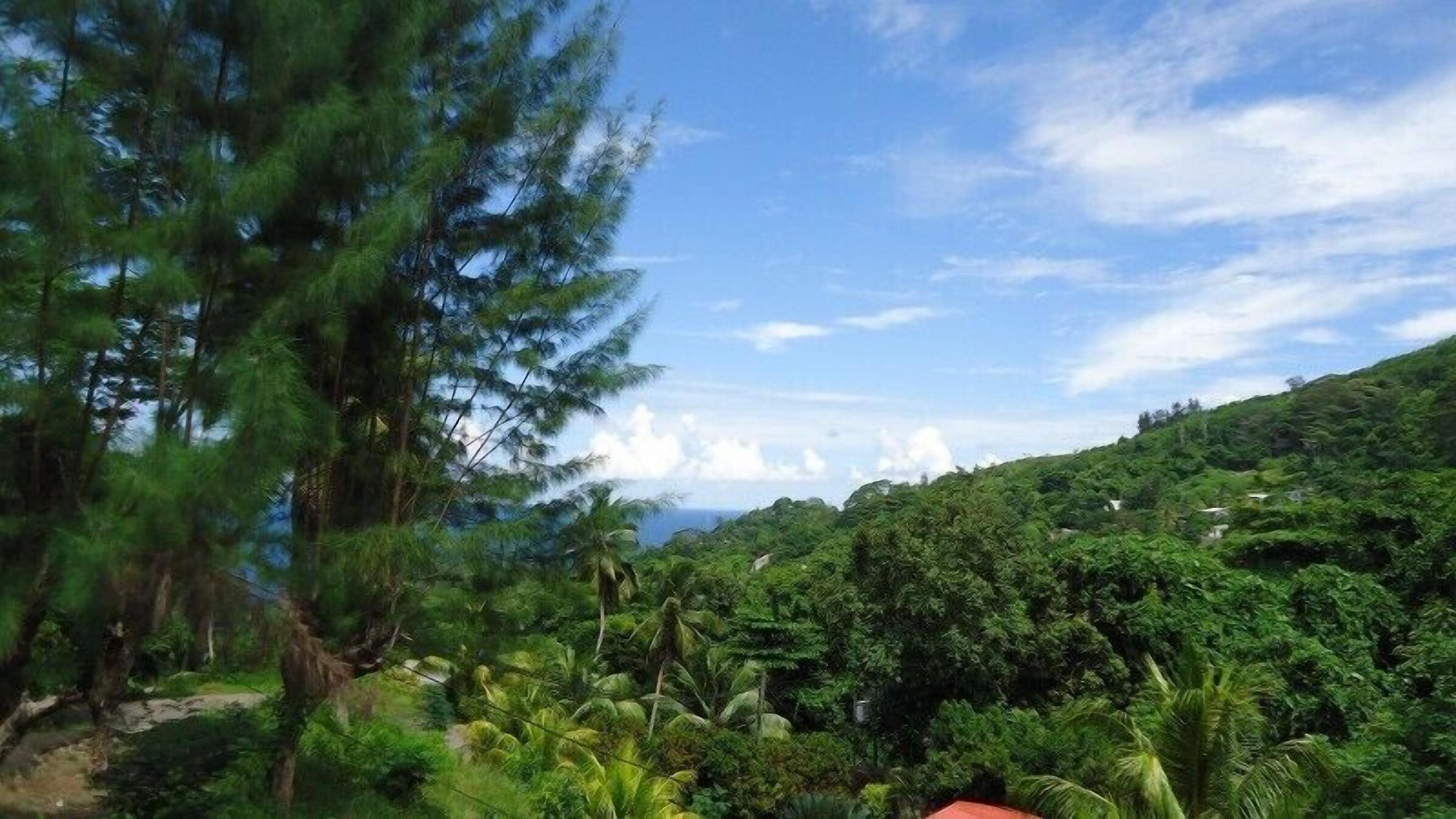 A lush green landscape with dense vegetation and a clear sky.