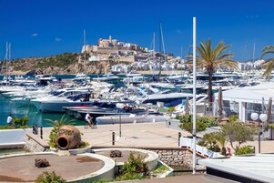 Vista desde la propiedad