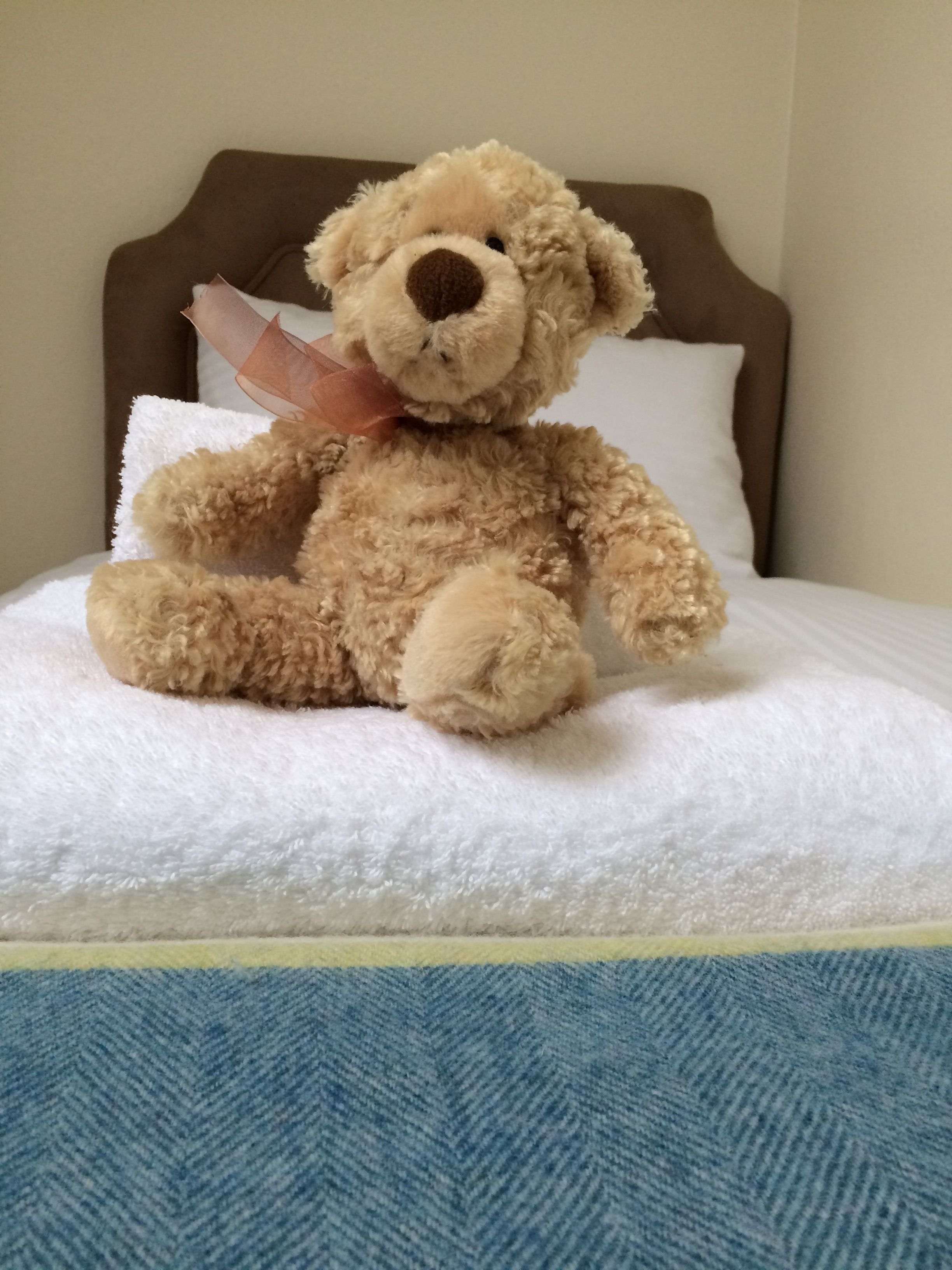Un ours en peluche est assis sur un lit, avec un oreiller blanc et une tête de lit marron.