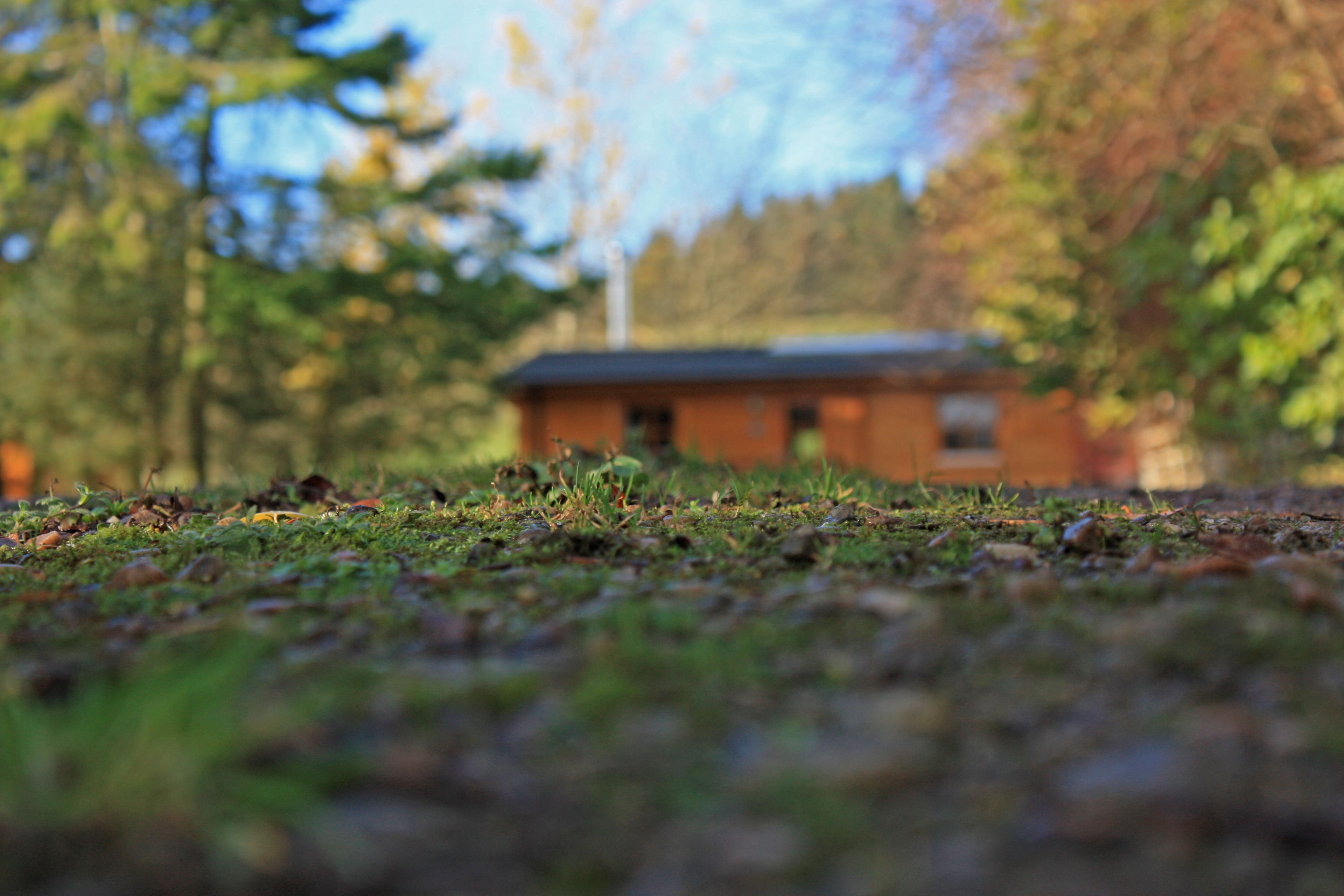 A building with a sloped roof, surrounded by trees and grass.