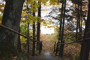 A wooden staircase surrounded by trees with autumn leaves.