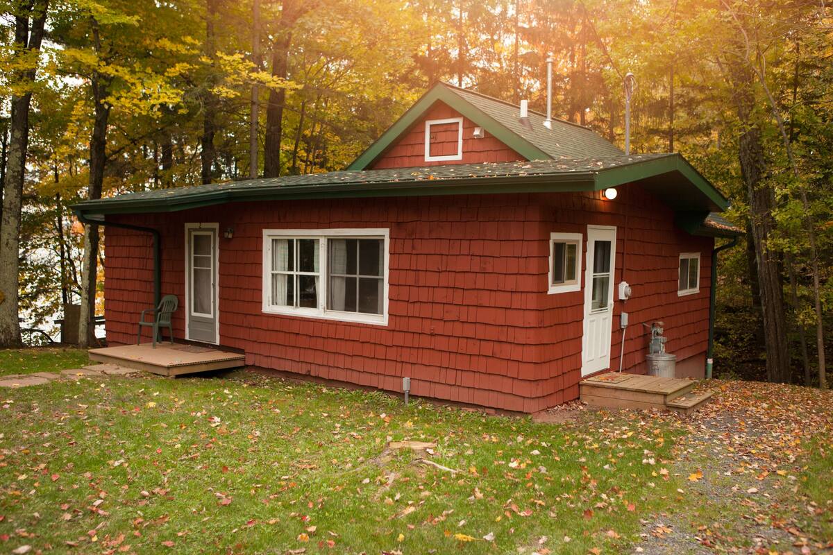 A small, single-story cabin with a green roof, surrounded by a forest.