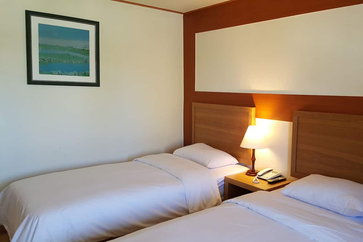 Down duvets, blackout curtains, free WiFi