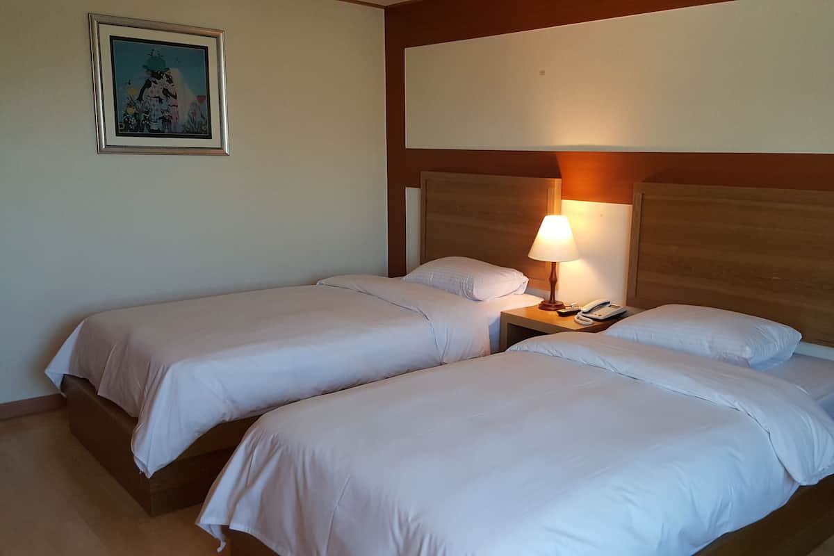 Down duvets, blackout curtains, free WiFi