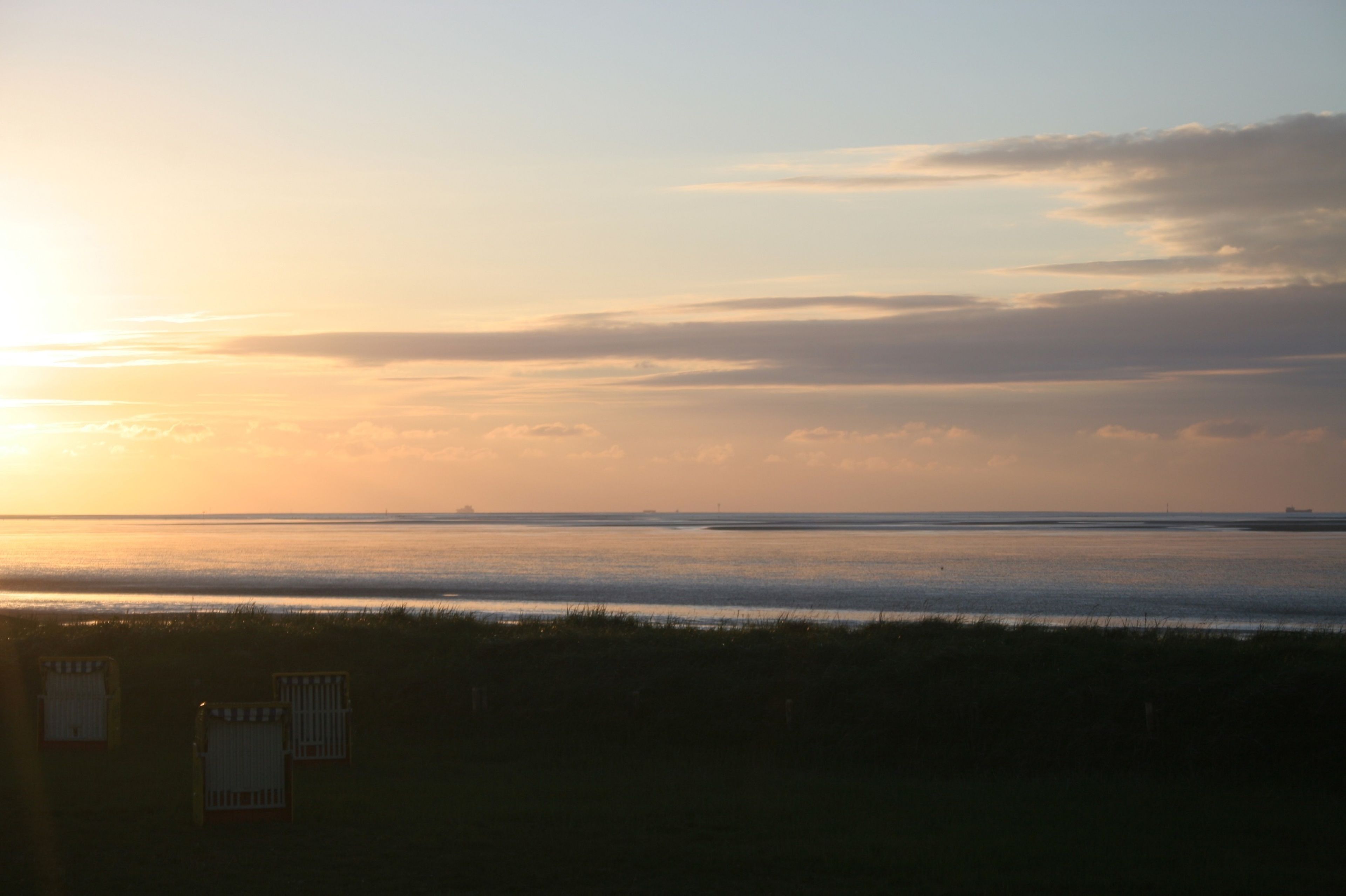 A beach view with a calm sea, grassy foreground, and a distant ship.