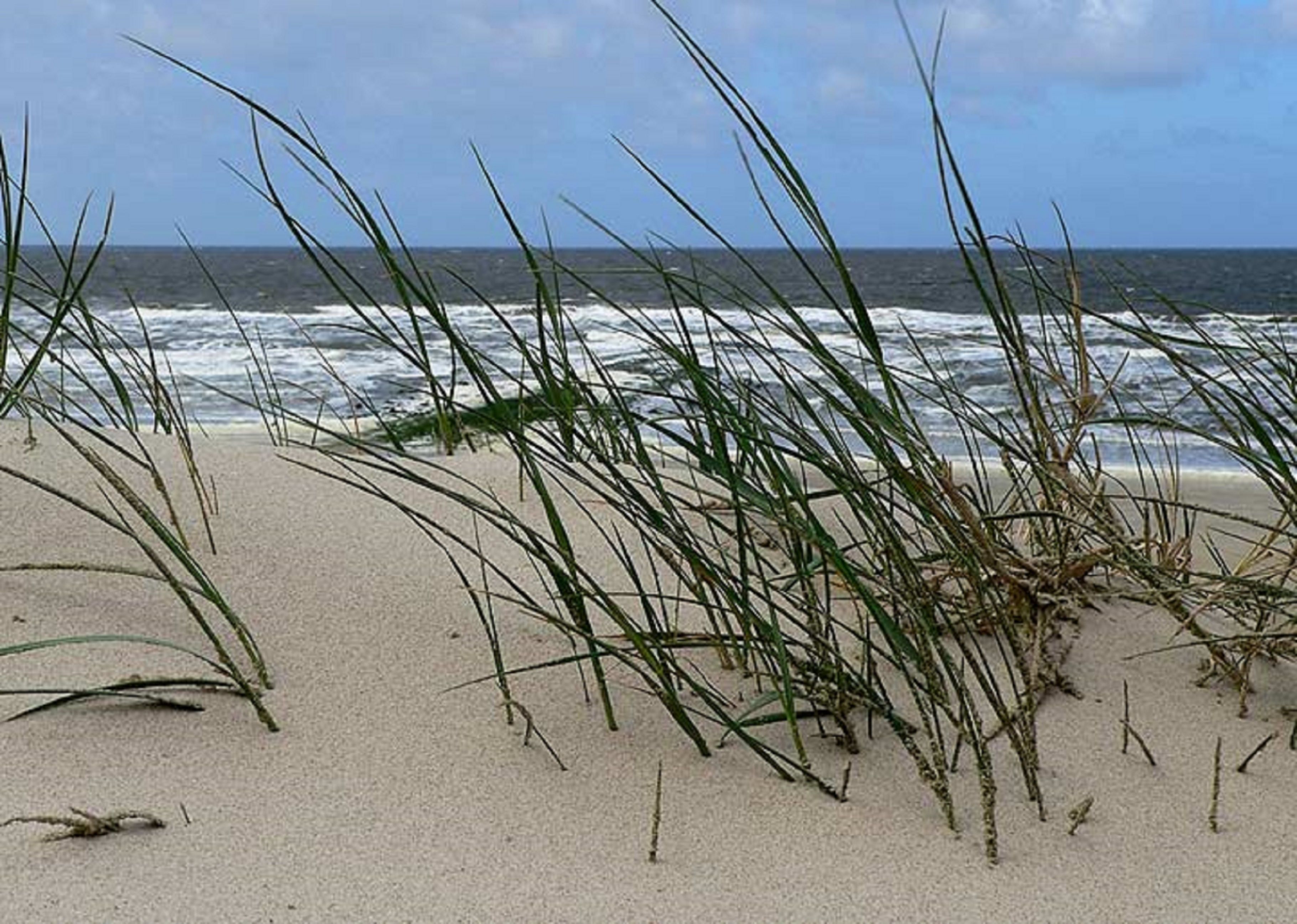A beach with sand and grass in the foreground and the ocean in the background.