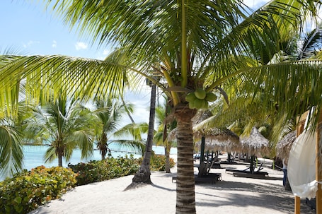 Servicio de la propiedad