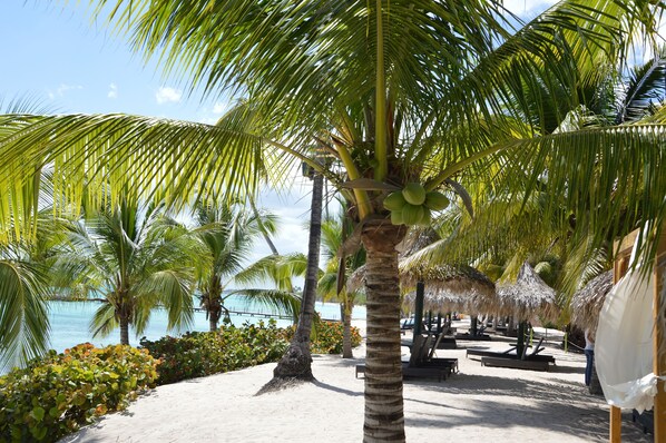 Property amenity - Los Flamencos Aparthotel (San Rafael del Yuma)