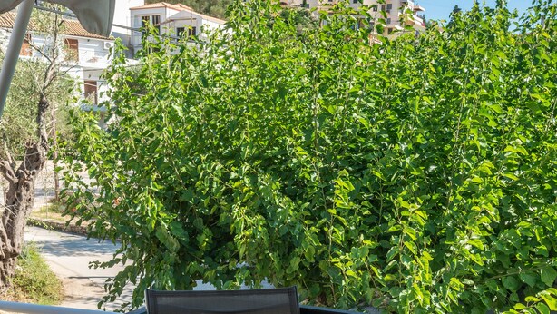 Un balcon avec une table et des chaises, donnant sur un arbre verdoyant et offrant une vue sur des bâtiments situés au loin.