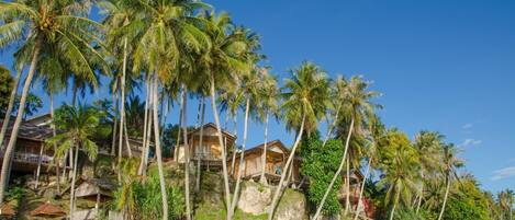 A beachfront property with multiple wooden houses surrounded by tall palm trees.