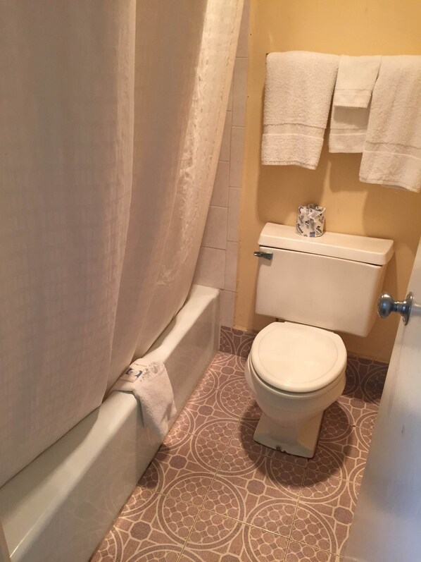 Combined shower/bathtub, hair dryer - Executive Inn Mercedes (Mercedes)