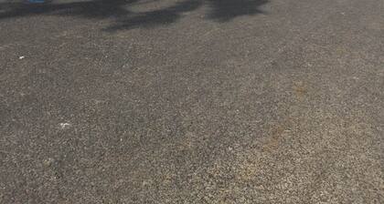 Executive Inn Mercedes