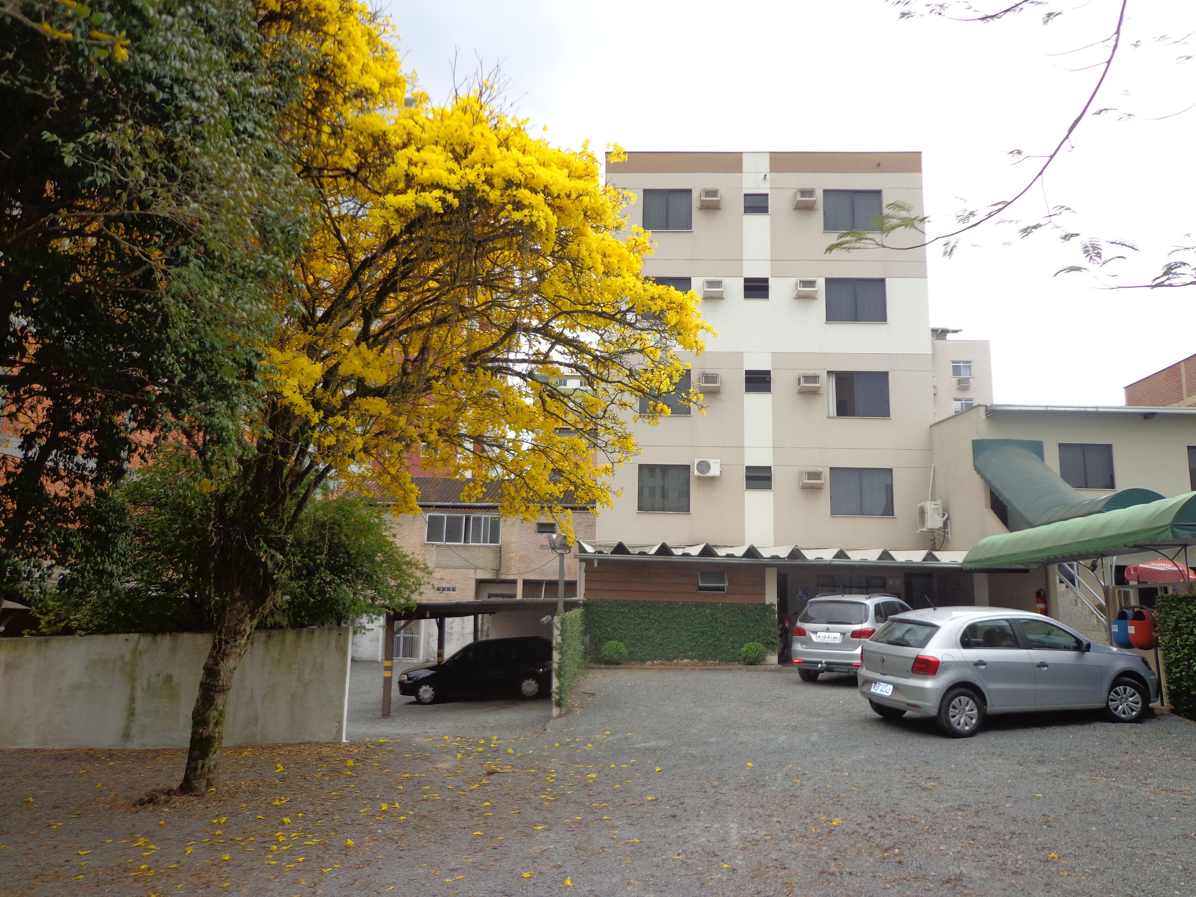 庭園
