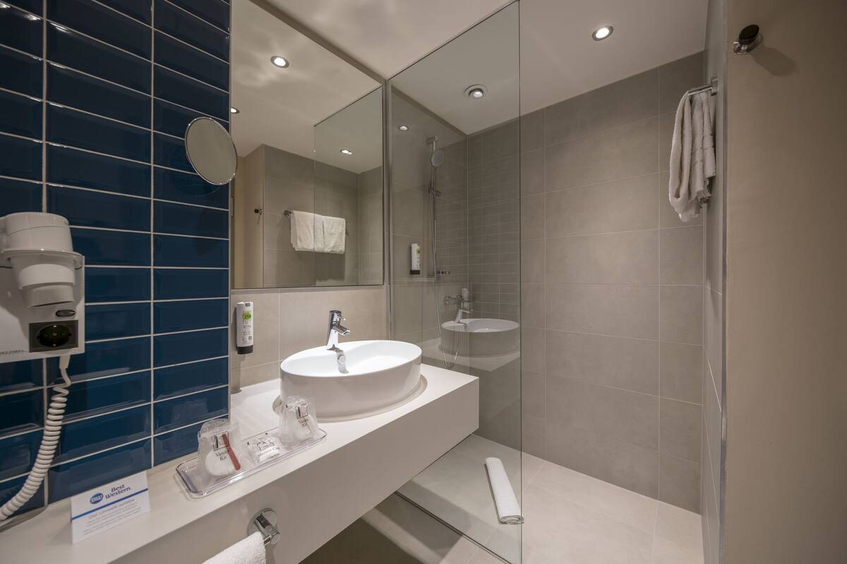 combined shower/bathtub, free toiletries, hair dryer, towels