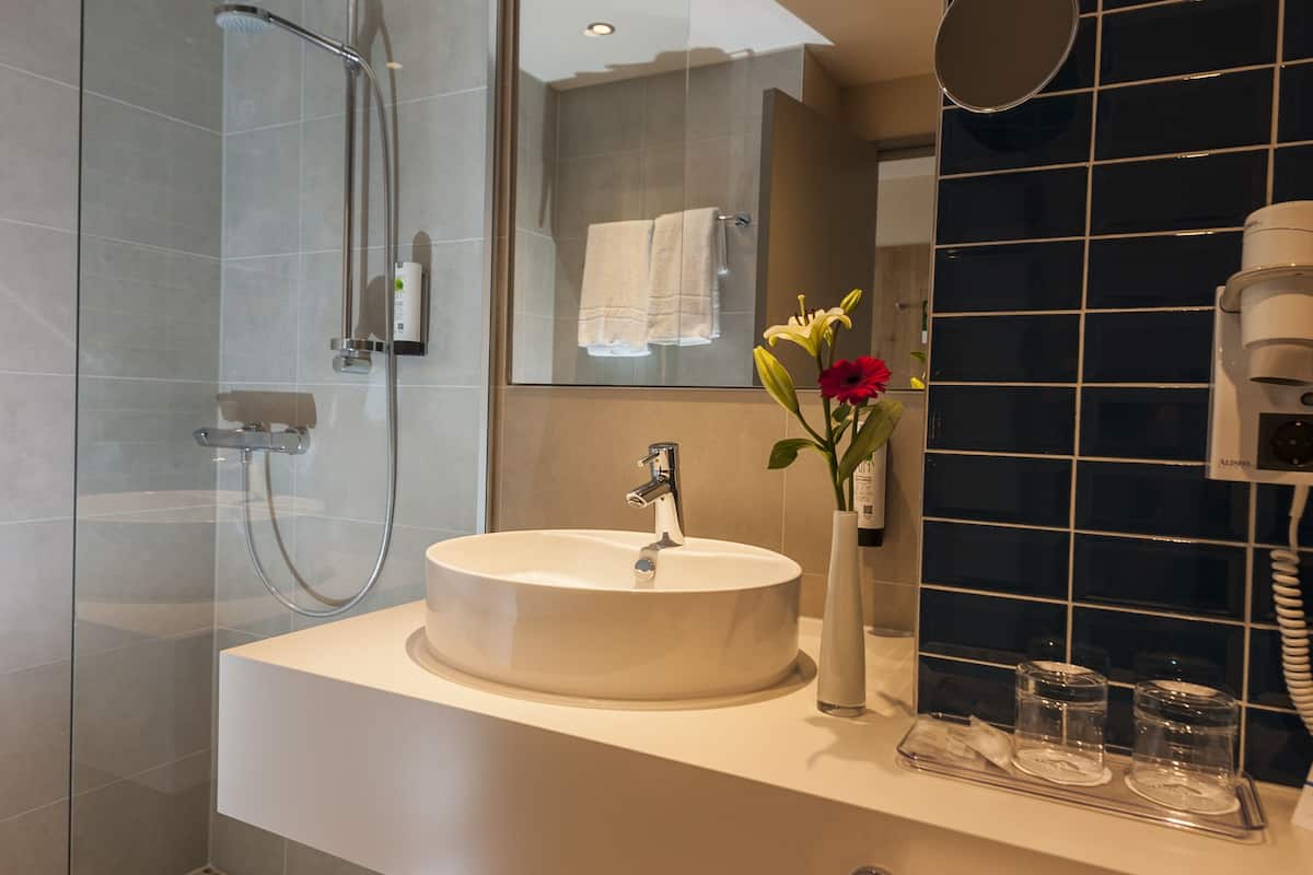 combined shower/bathtub, free toiletries, hair dryer, towels