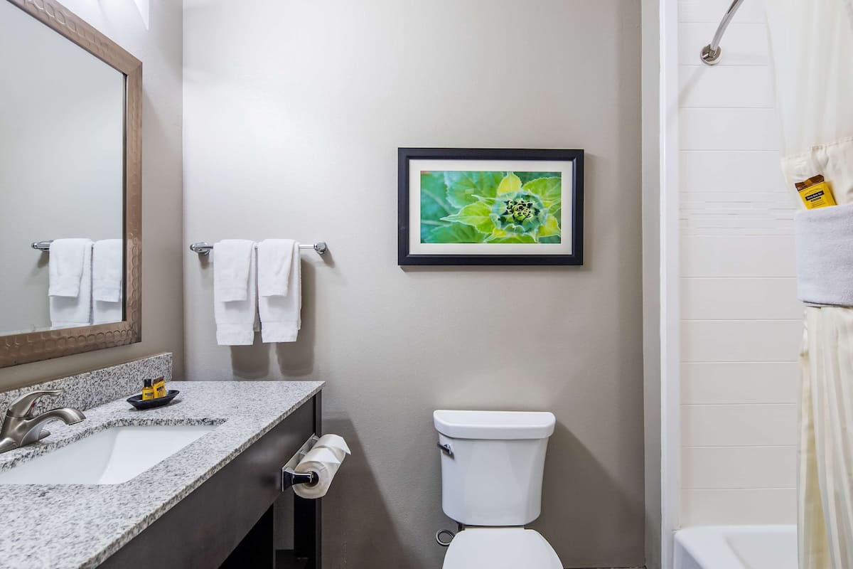 Combined shower/bathtub, free toiletries, hair dryer, towels