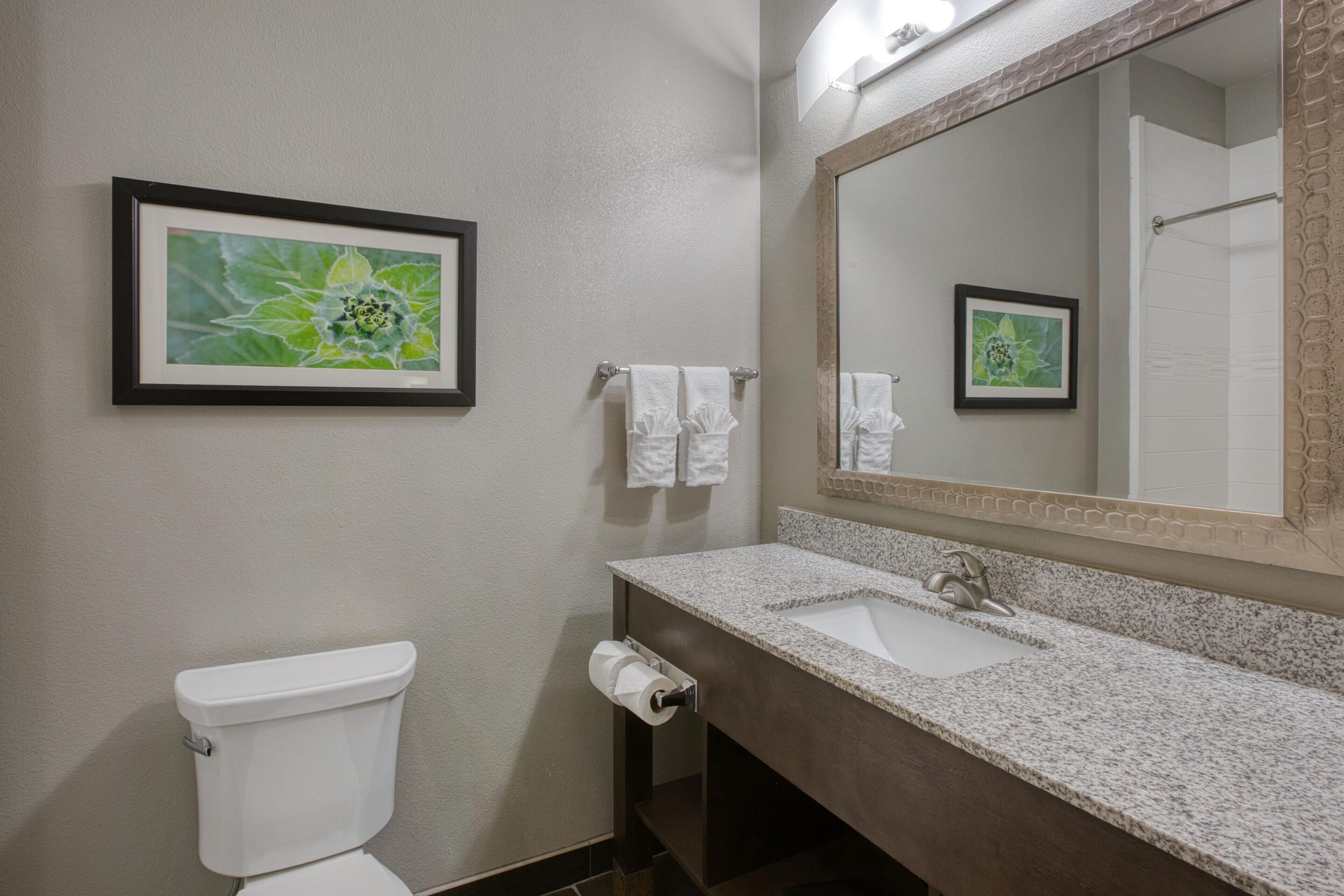 Une salle de bain avec des toilettes, un lavabo et un miroir. Des tableaux encadrés ornent le mur.