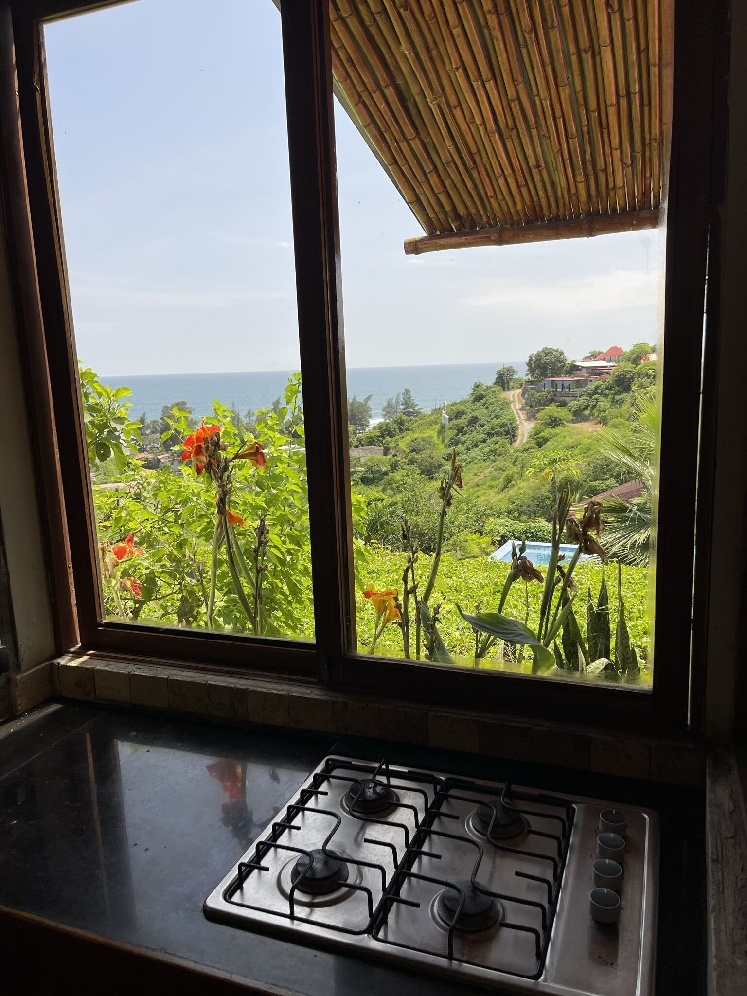 Une cuisine équipée d’une cuisinière à gaz et offrant une vue sur un paysage luxuriant par le biais d’une fenêtre.