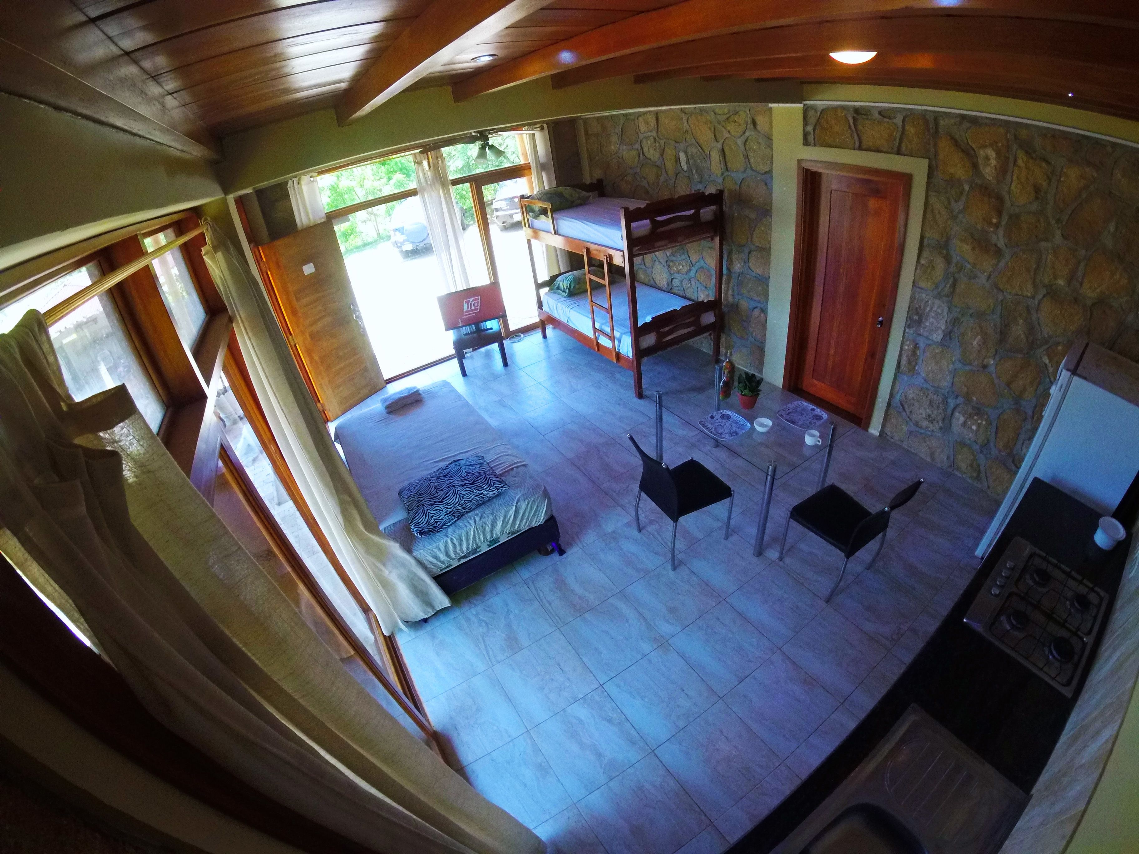 A room with a bunk bed, a small table with cups and a plant, and a kitchen area with a stove.