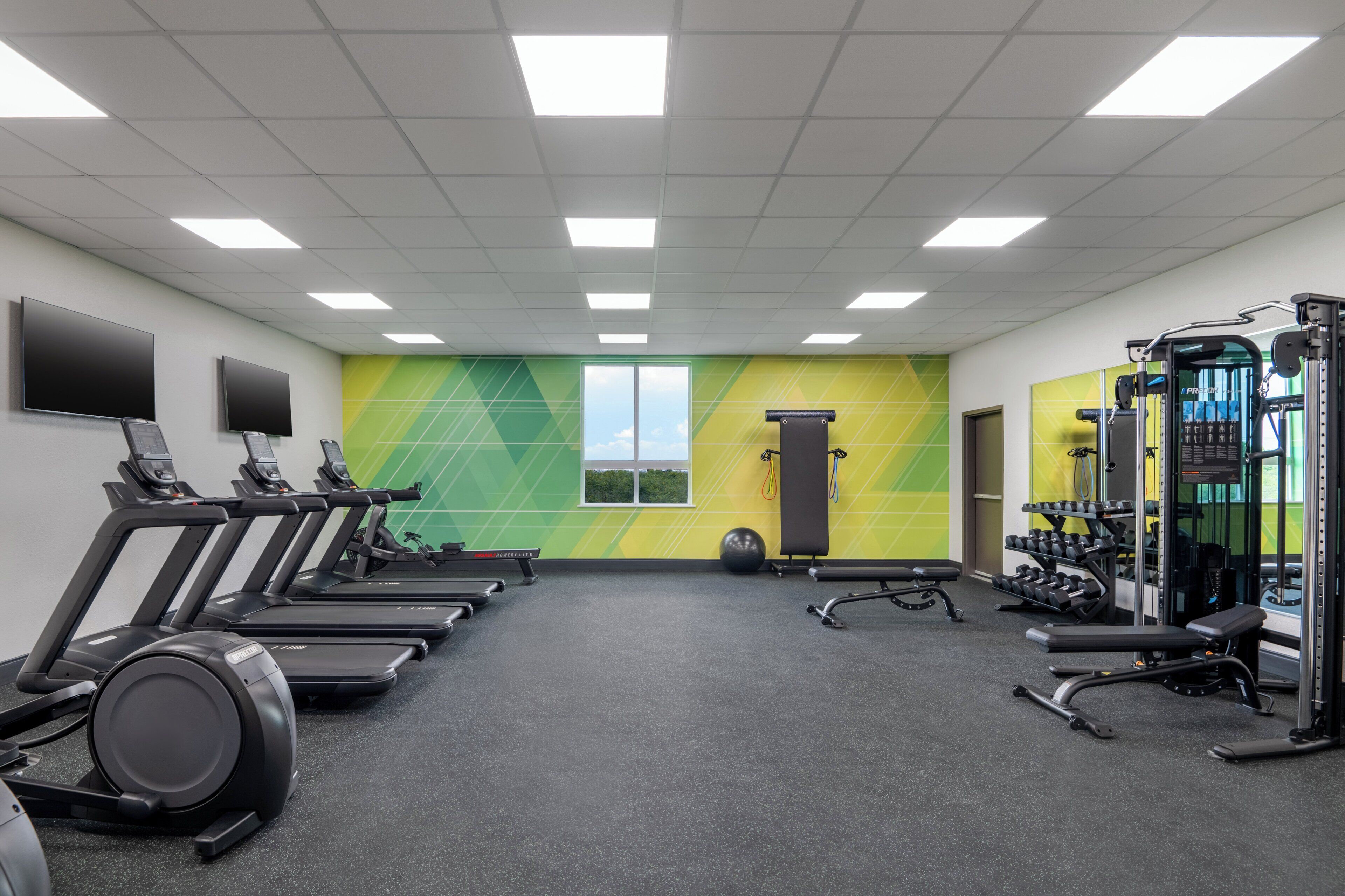 Un gimnasio con cintas de correr, un banco para pesas y una estructura para sentadillas.
