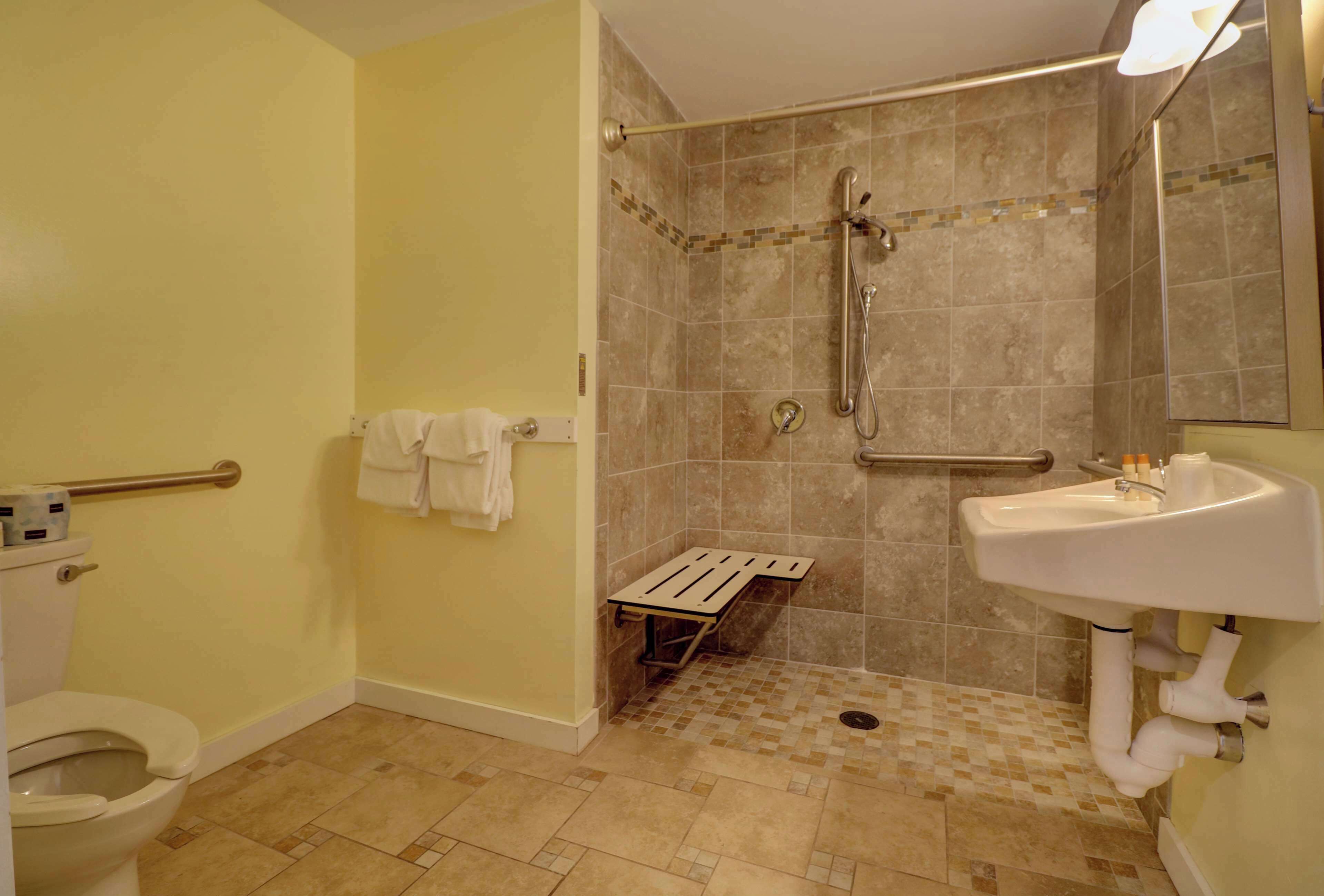A bathroom with a toilet, a shower with a grab bar, and a sink.