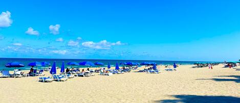 A beach with numerous sun loungers and umbrellas, a clear sky, and the ocean in the background.