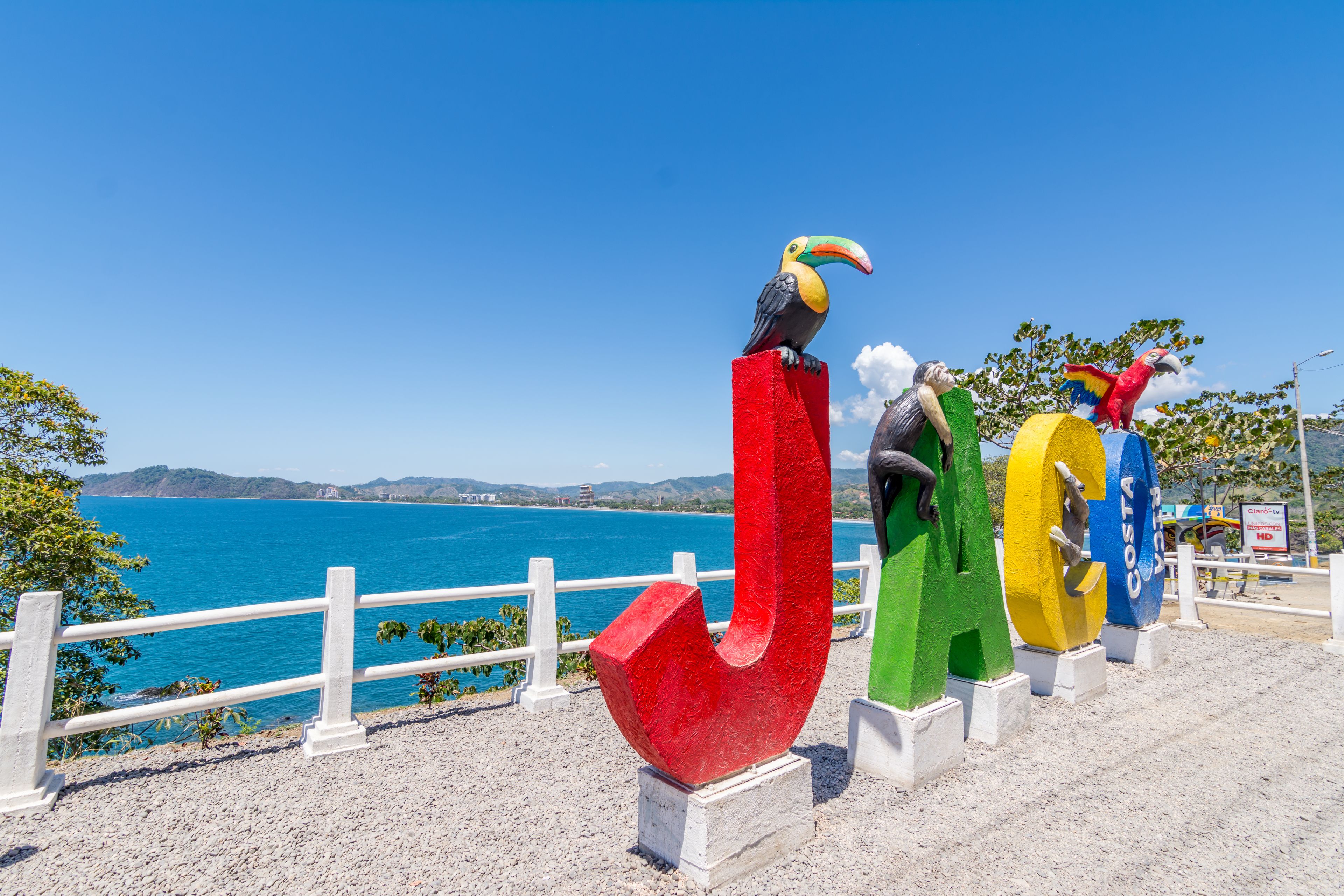 A coastal view with a white fence and colorful sculptures of toucans and a parrot.