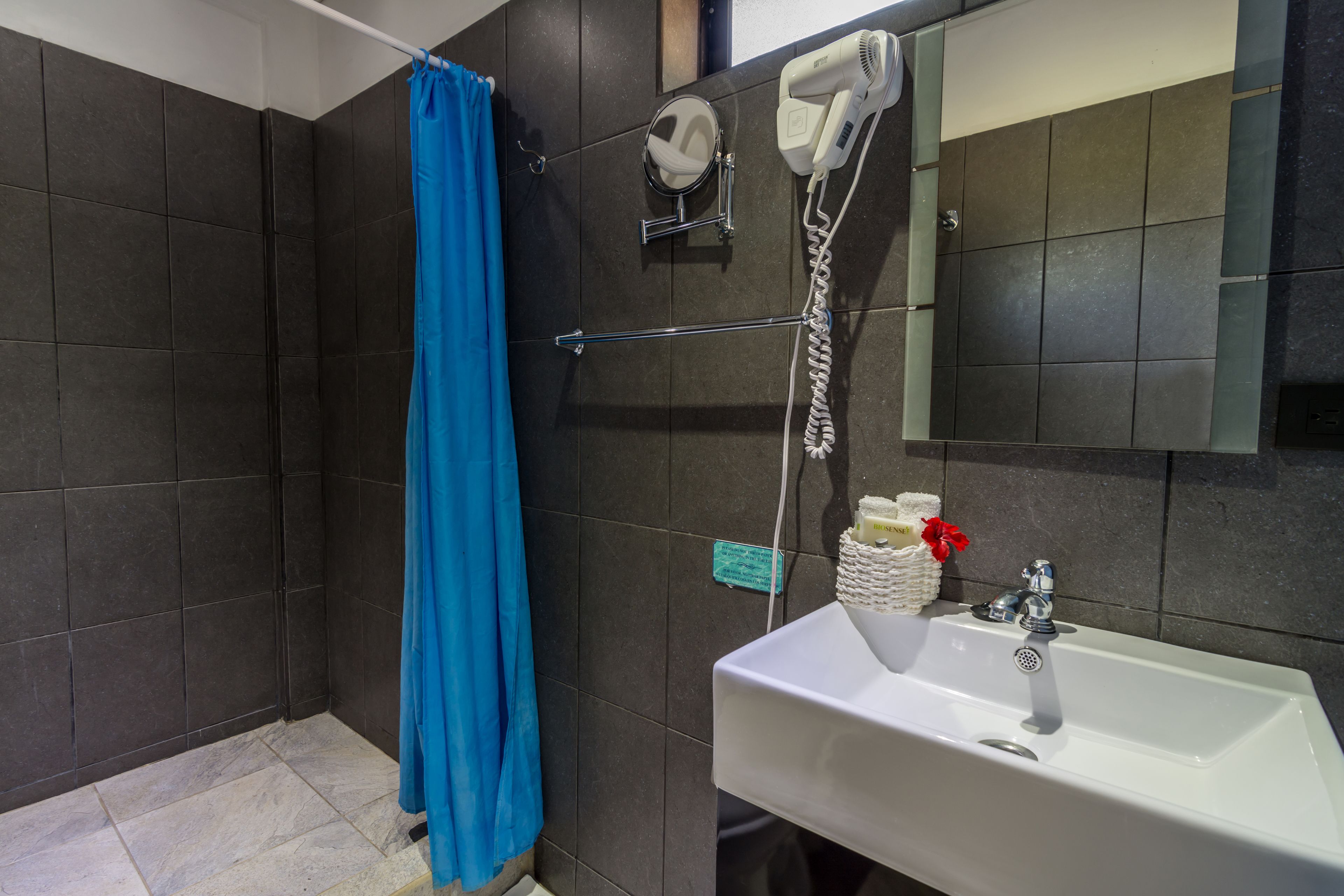 A bathroom with a shower, a sink, a hairdryer, and a mirror.