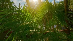 Un jardín tropical con palmeras y una estructura de techo de paja.