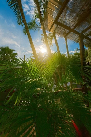 Enceinte de l’hébergement