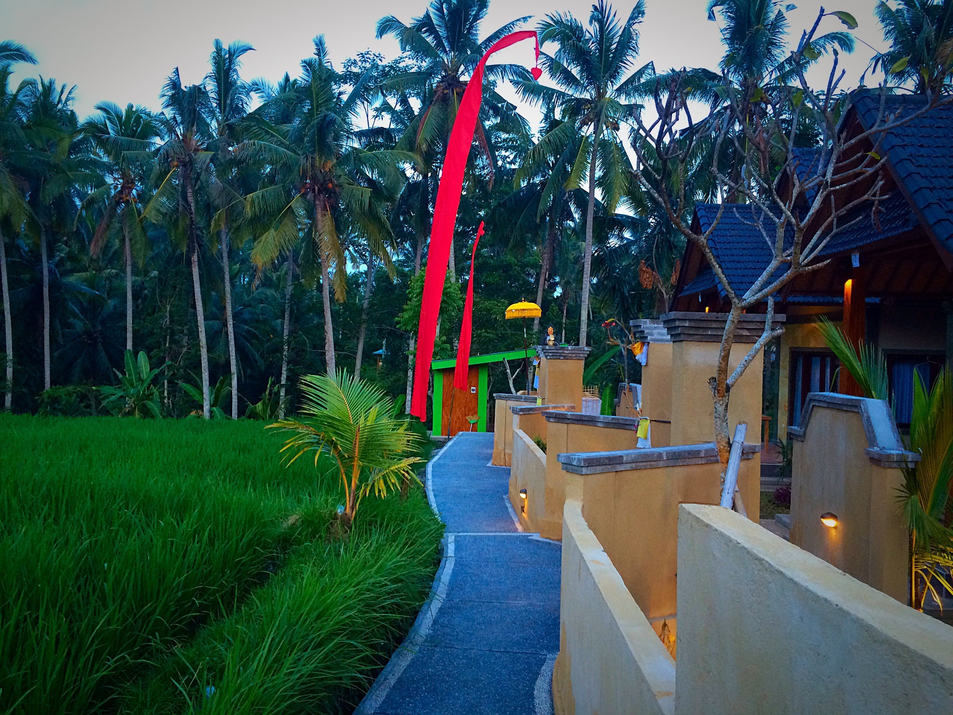 Un chemin menant à un bâtiment doté d’une arche rouge, entouré de palmiers et de verdure.