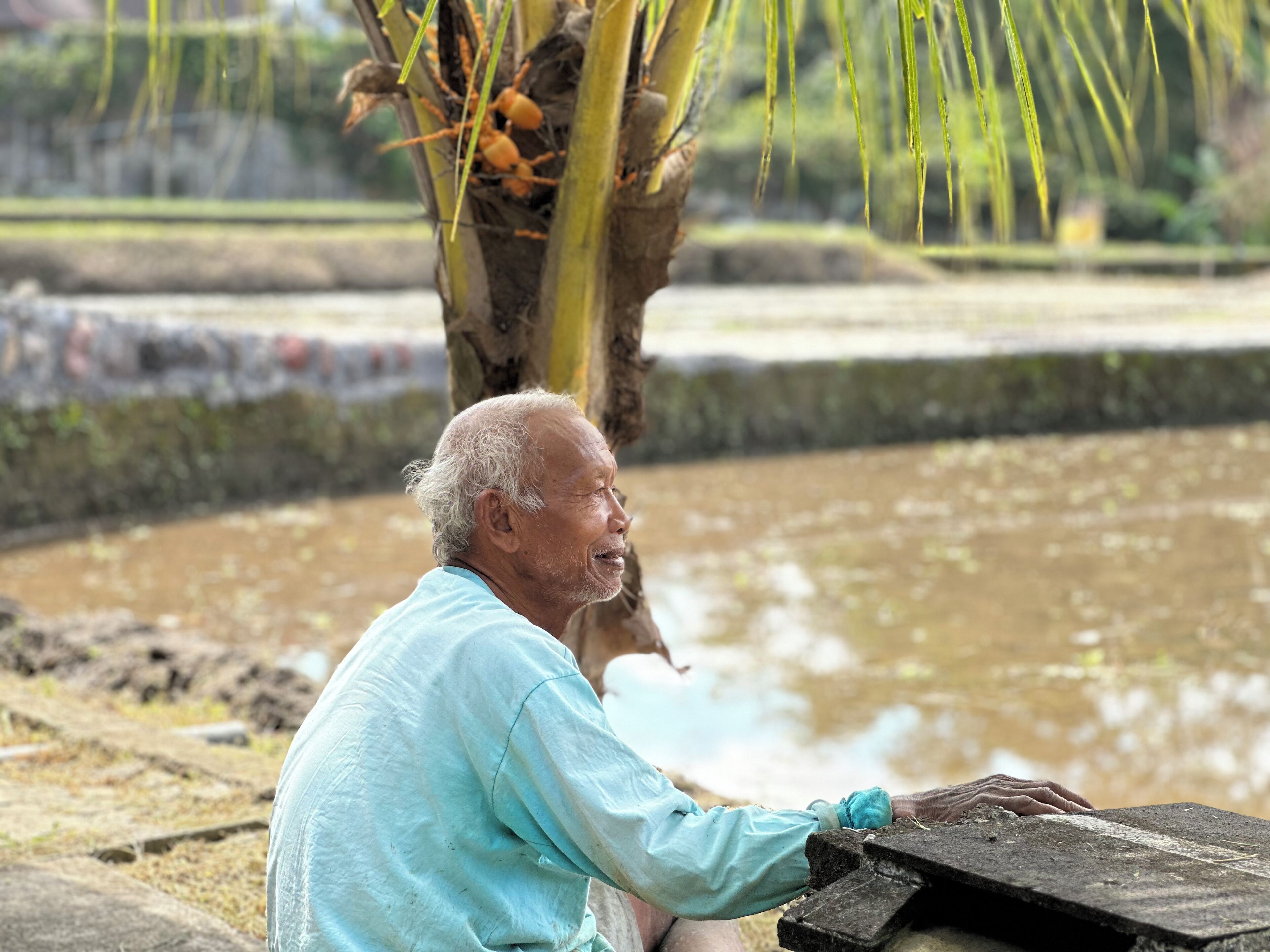 Alguém sentado à beira de um lago, com uma árvore e uma estrutura de pedra ao fundo.