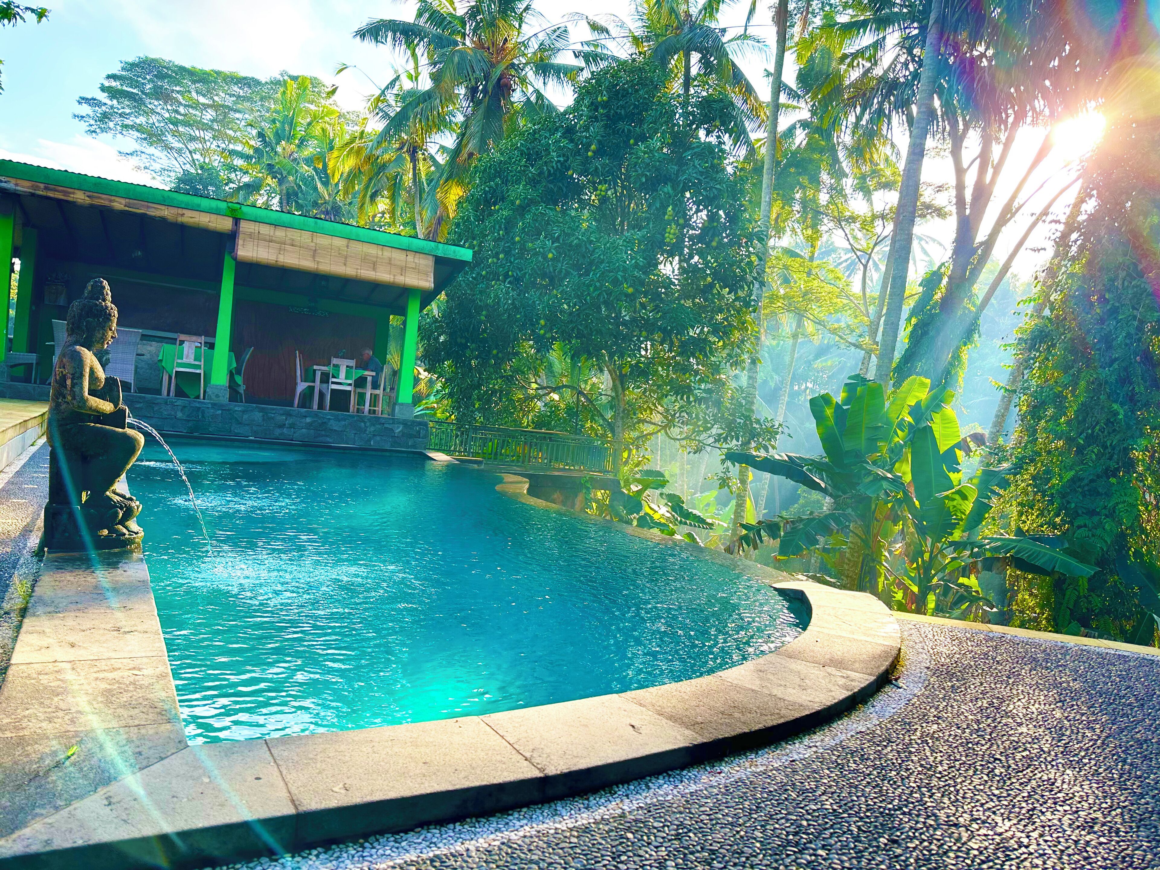A pool with a statue, surrounded by lush greenery and a building with outdoor seating.