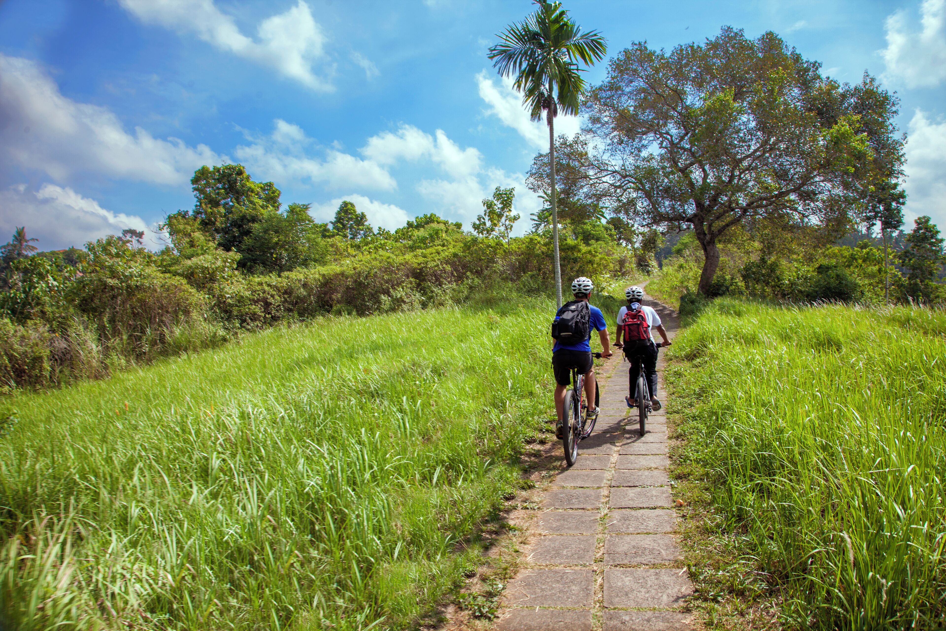 Foto - Jannata Resort and Spa