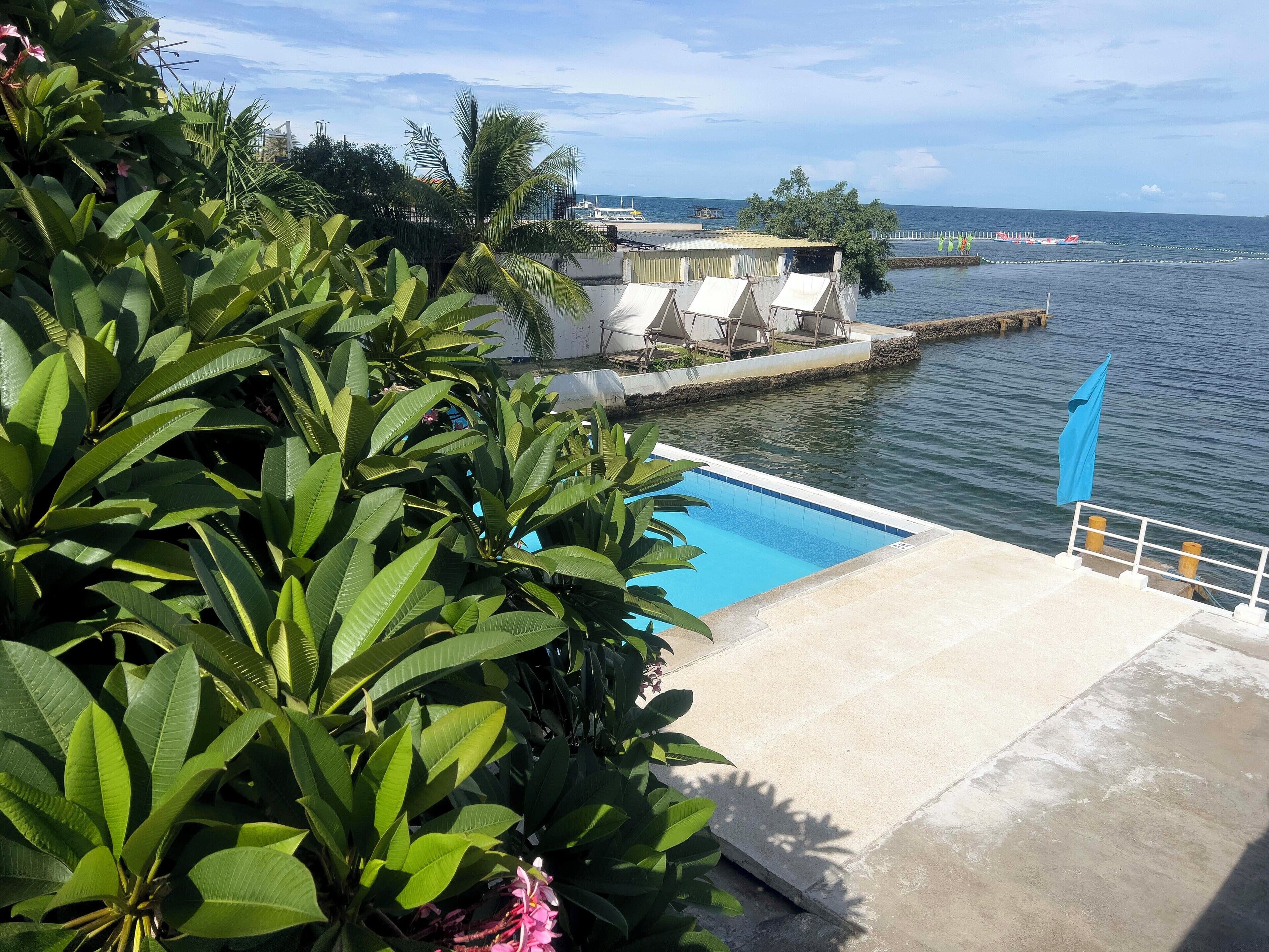 Snorkeling, water skiing